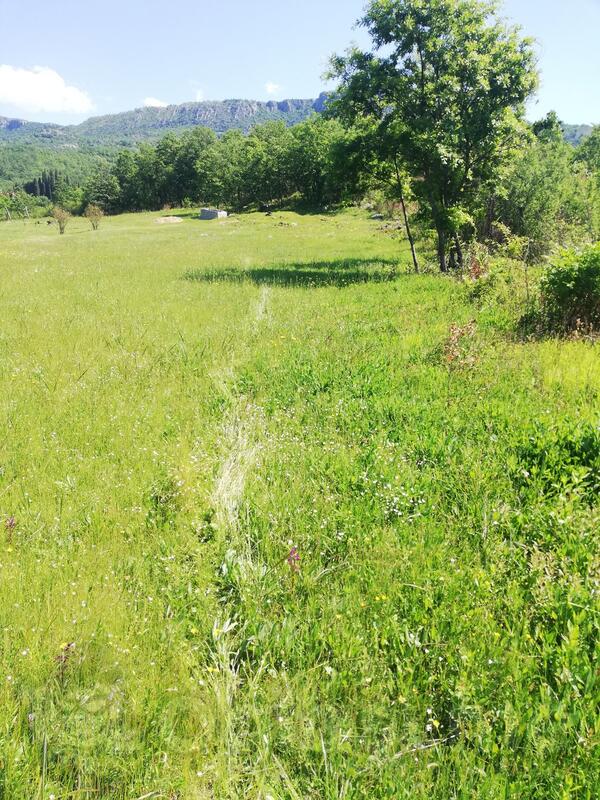 Poljoprivredno zemljište 1000m2 - Podgorica - Pričelje