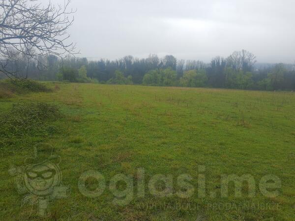 Poljoprivredno zemljište 8000m2 - Danilovgrad - Kopito