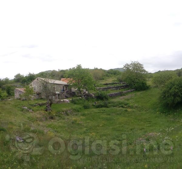 Poljoprivredno zemljište 220000m2 - Podgorica - Ožezi