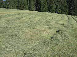 košenje trave, krčenje šume, kultivisanje zemlje
