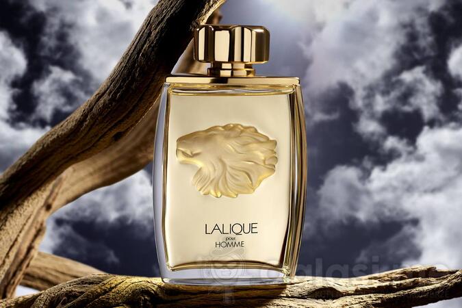 Lalique - Pour Homme, Lion