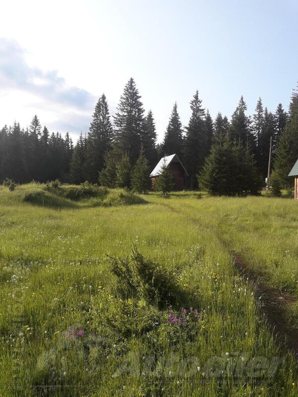 Građevinsko zemljište 20000m2 - Žabljak - > Okolina grada