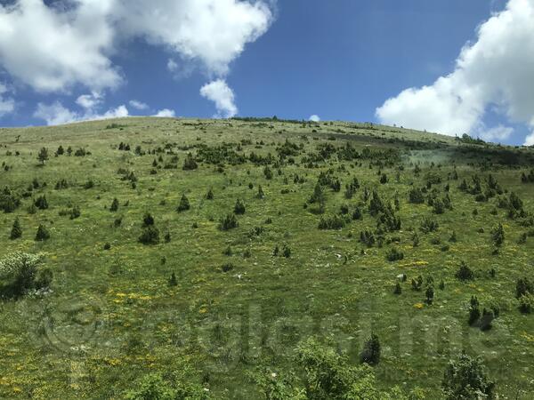 Poljoprivredno zemljište 40000m2 - Žabljak - Žabljak II