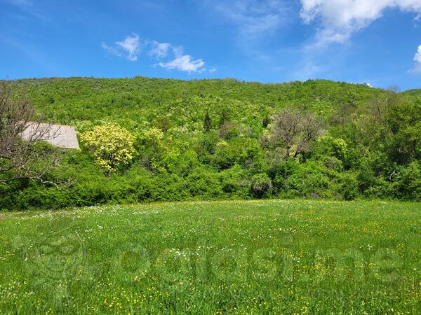 Poljoprivredno zemljište 160000m2 - Nikšić - Bršno