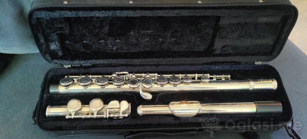 Flauta Canorus FL501