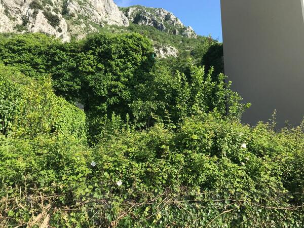 Građevinsko zemljište 503m2 - Budva - Tudorovići