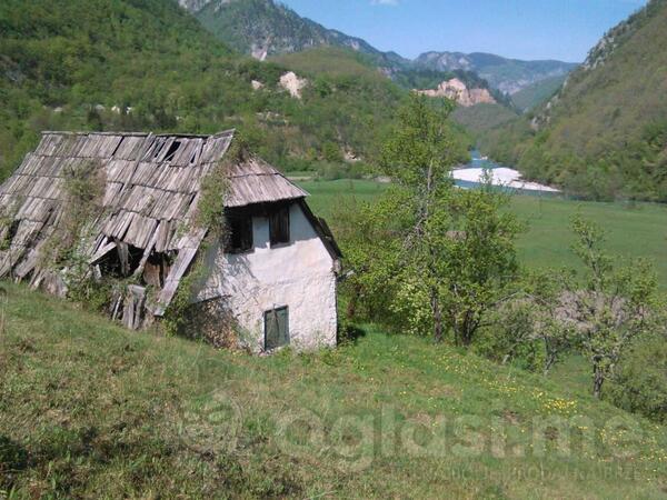 Poljoprivredno zemljište 23484m2 - Mojkovac - Bistrica