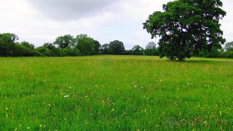 Građevinsko zemljište 4400m2 - Ulcinj - Reč