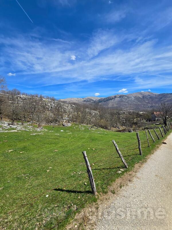 Poljoprivredno zemljište 1230m2 - Podgorica - Podgorica (uži dio)