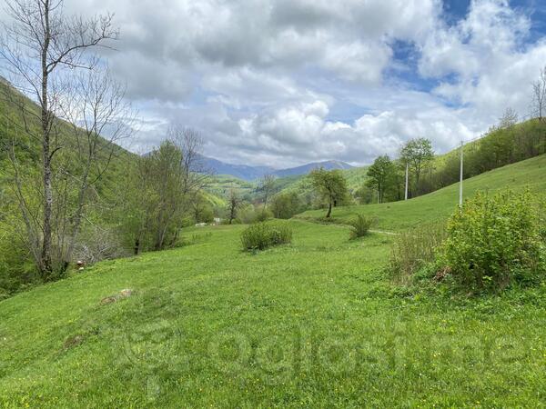 Građevinsko zemljište 30000m2 - Mojkovac - Štitarica