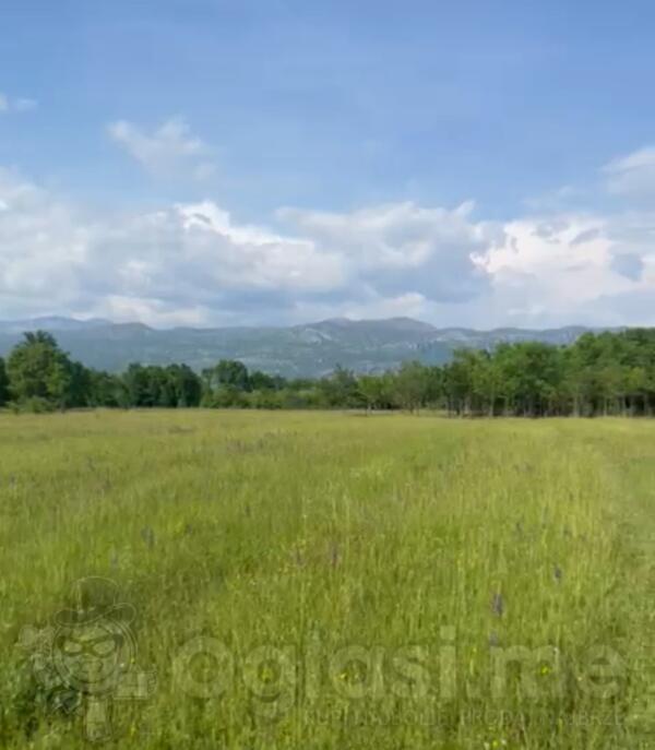 Građevinsko zemljište 5554m2 - Danilovgrad - Jastreb