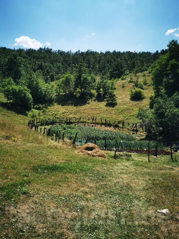 Poljoprivredno zemljište 2000m2 - Nikšić - > Okolina grada