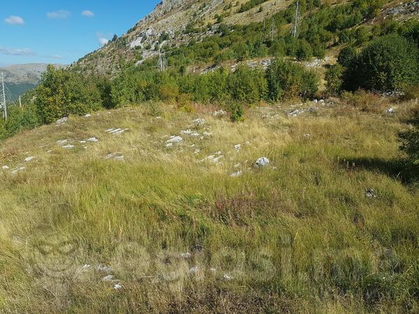 Poljoprivredno zemljište 725000m2 - Podgorica - Brskut