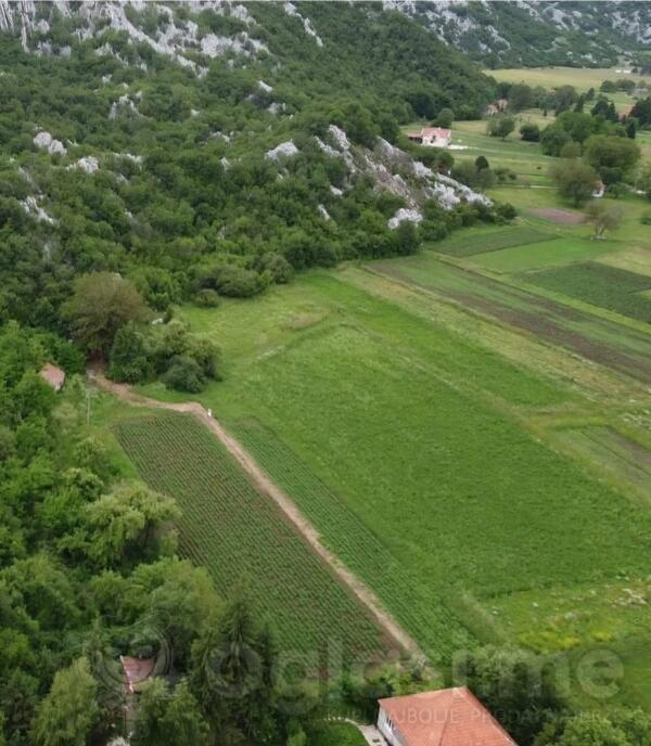 Poljoprivredno zemljište 23500m2 - Nikšić - Grahovo