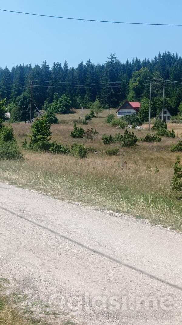 Građevinsko zemljište 5937m2 - Žabljak - Motički Gaj