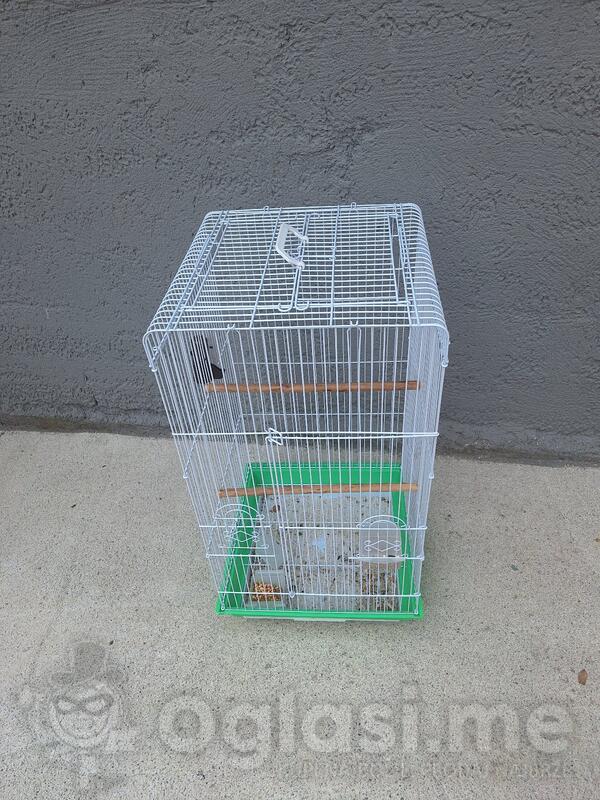 Veliki kavez Prodajem 