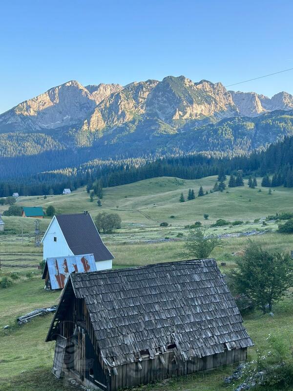 Građevinsko zemljište 1333m2 - Žabljak - > Okolina grada