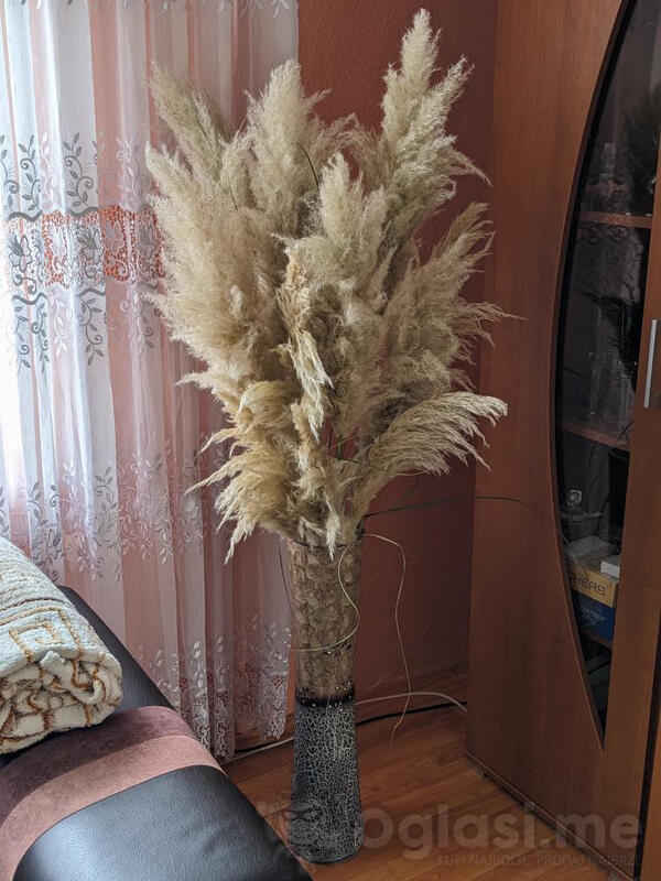 Prodajem pampas, 3€ po komadu