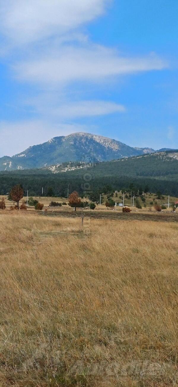 Poljoprivredno zemljište 586m2 - Podgorica - Radovče