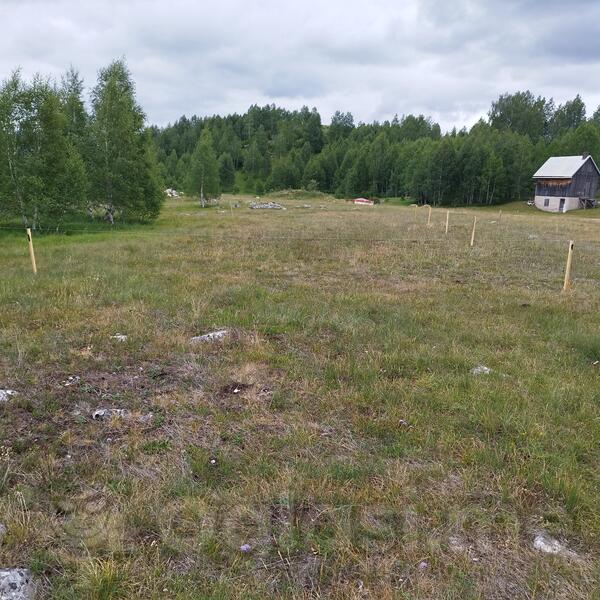 Građevinsko zemljište 595m2 - Žabljak - Tepačko Polje