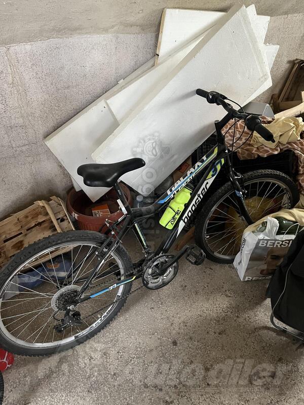 Capriolo - Galaxy Booster