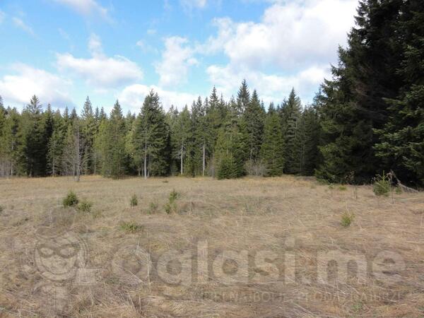 Građevinsko zemljište 8600m2 - Bajina Bašta - > Okolina