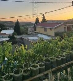 Kuća sa više stanova 30m2 - Bar - Sutomore