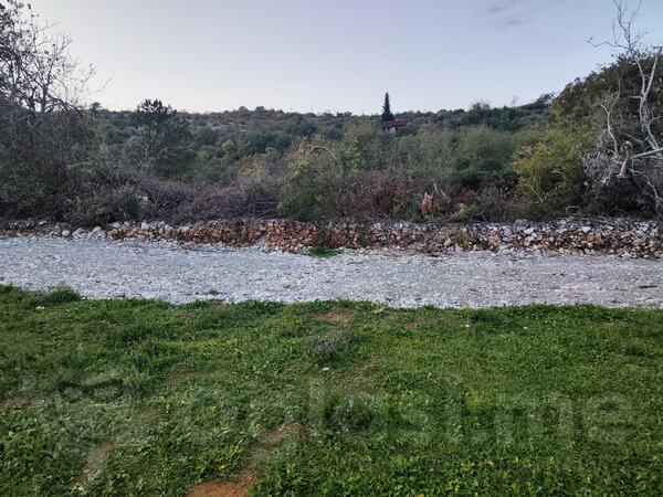 Poljoprivredno zemljište 3500m2 - Podgorica - Farmaci