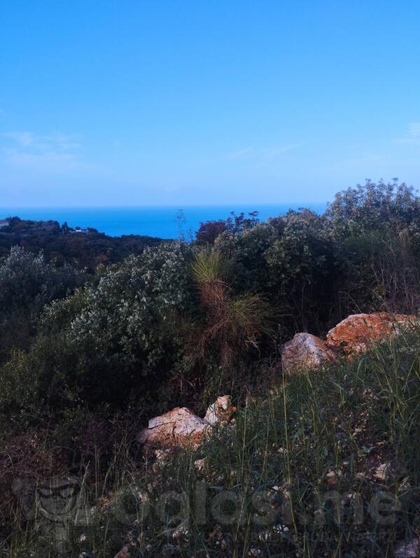 Građevinsko zemljište 503m2 - Bar - Pečurice