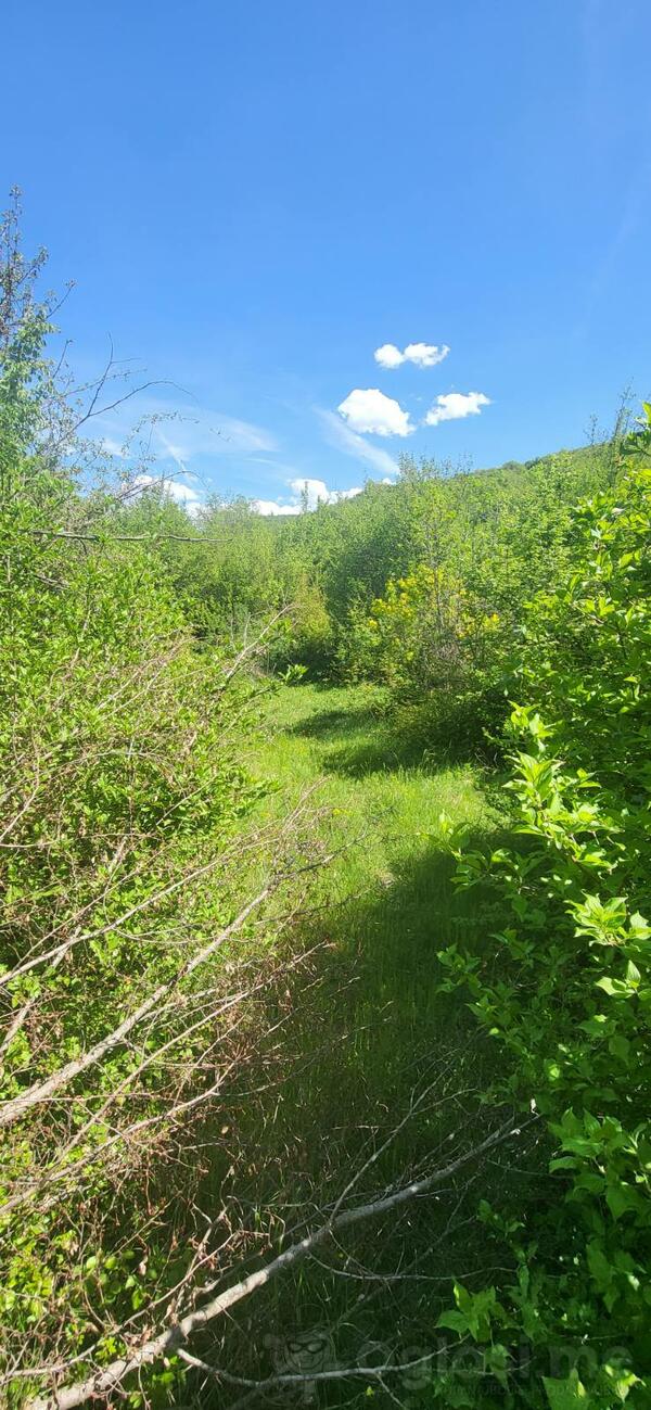 Poljoprivredno zemljište 29999m2 - Nikšić - Rubeža