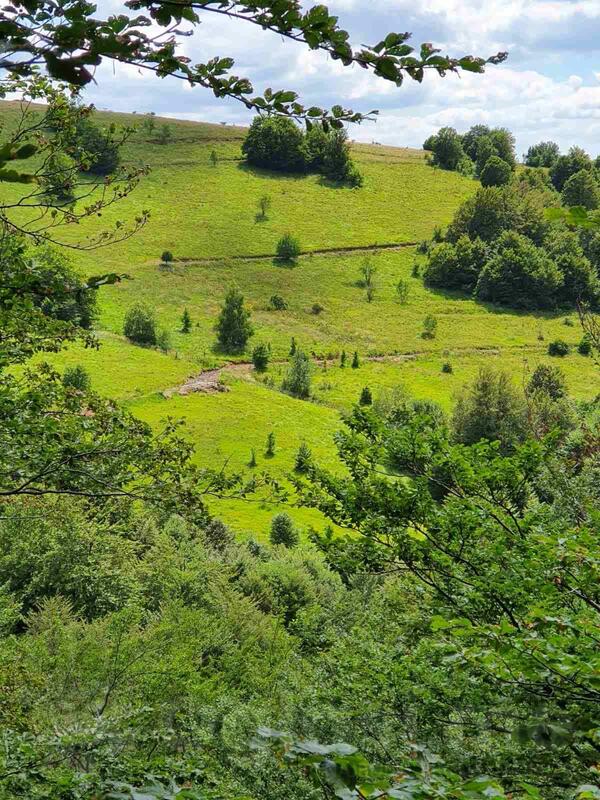 Građevinsko zemljište 1612m2 - Knjaževac - Ćuštica