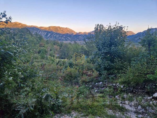 Poljoprivredno zemljište 1000m2 - Kotor - Dragalj