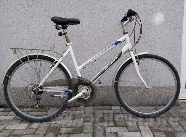 Leopard - Street Cat