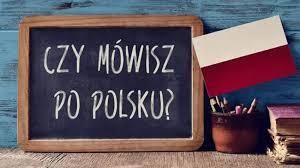 Online Časovi poljskog jezika za mlade i odrasle – specijalni kursevi: turizam, posao i drugie oblasti