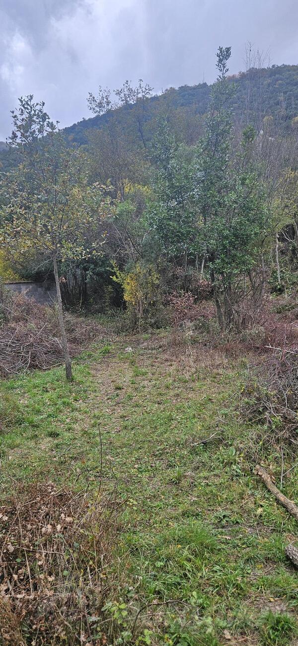 Građevinsko zemljište 2198m2 - Herceg Novi - Zelenika