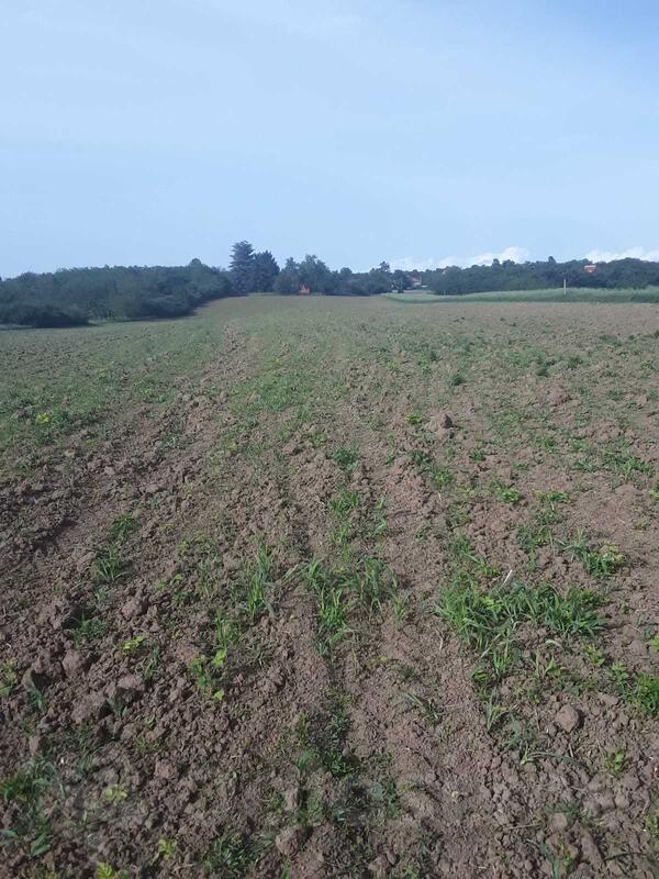 Građevinsko zemljište 22671m2 - Mladenovac - Vlaška