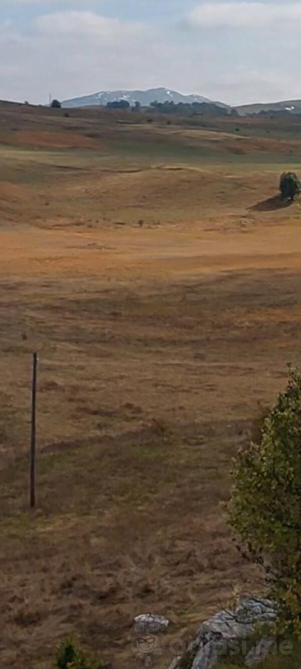 Građevinsko zemljište 74500m2 - Žabljak - Žabljak II