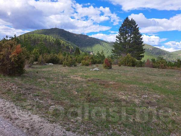 Građevinsko zemljište 10500m2 - Čajetina - Stublo