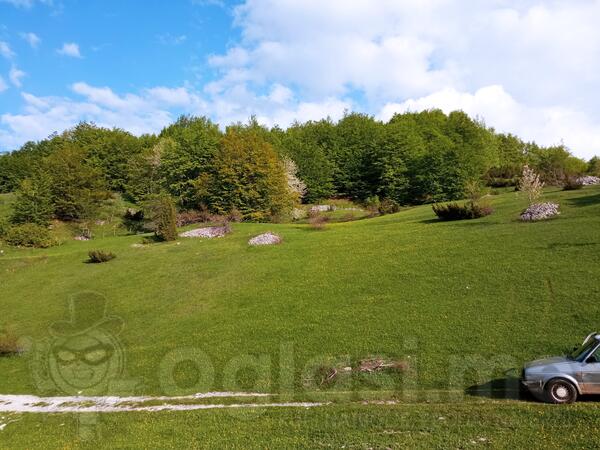 Poljoprivredno zemljište 60000m2 - Nikšić - Nikšić (uži dio)