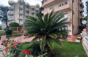 Trosoban stan 1140m2 - Herceg Novi - Meljine