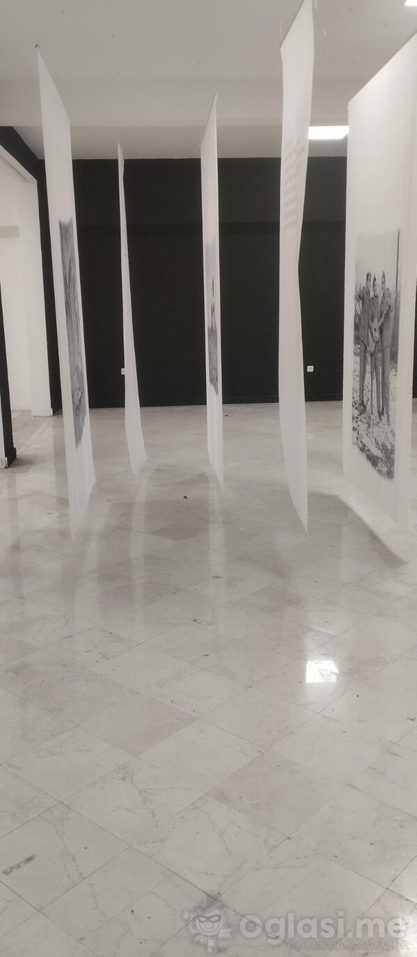 Poslovna zgrada 220m2 - Podgorica - Centar grada