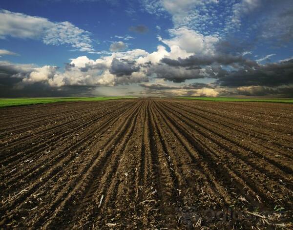 Građevinsko zemljište 7000m2 - Kotor - Lastva Grbaljska