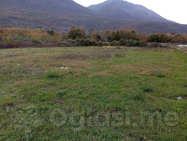 Poljoprivredno zemljište  - Danilovgrad - Sladojevo Kopito