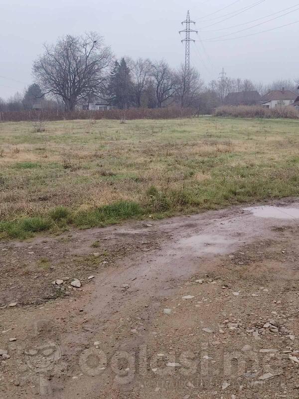 Građevinsko zemljište 5000m2 - Loznica - Loznica