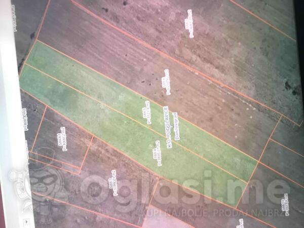 Poljoprivredno zemljište 7018m2 - Danilovgrad - Podglavice