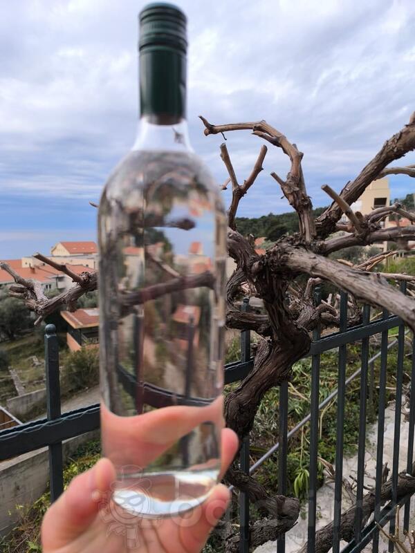 Rakija loza domaća 