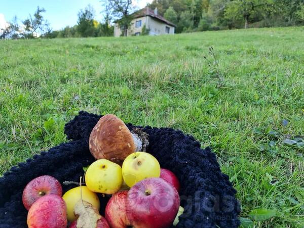 Poljoprivredno zemljište 6450m2 - Bijelo Polje - Rasadnik