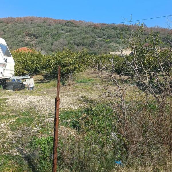 Poljoprivredno zemljište 15000m2 - Ulcinj - Zoganj