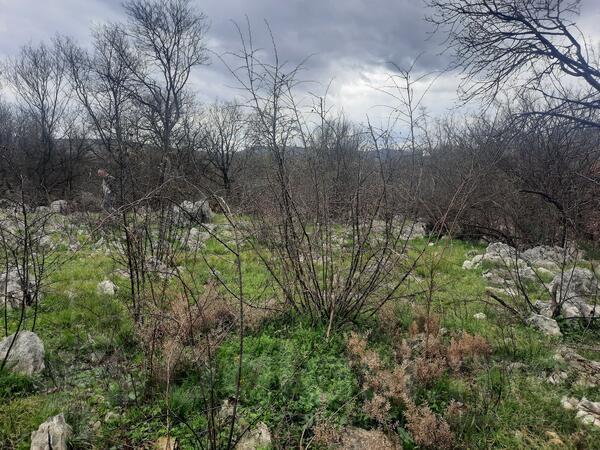 Građevinsko zemljište 800m2 - Podgorica - > Okolina grada
