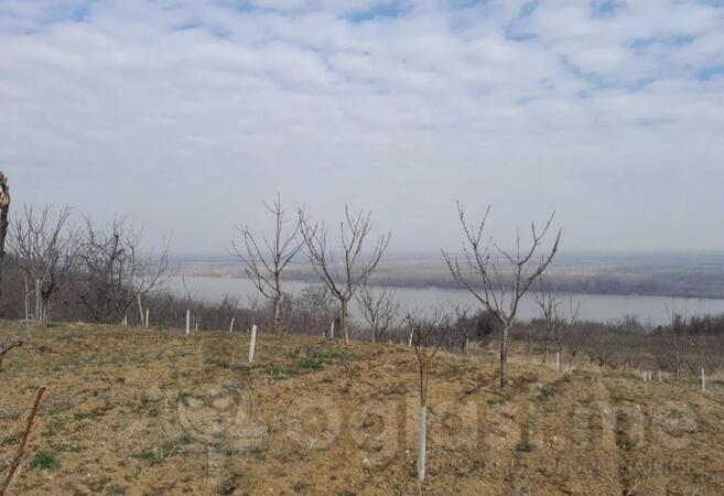 Poljoprivredno zemljište 6400m2 - Grocka - Grocka (uži dio)